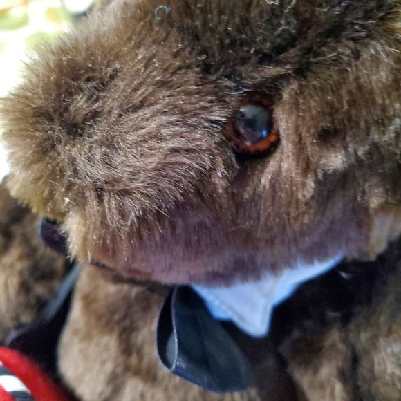 Vermont Teddy Bear Dark Brown with I love You Heart and Tux Tie and Collar - Picture 6 of 8